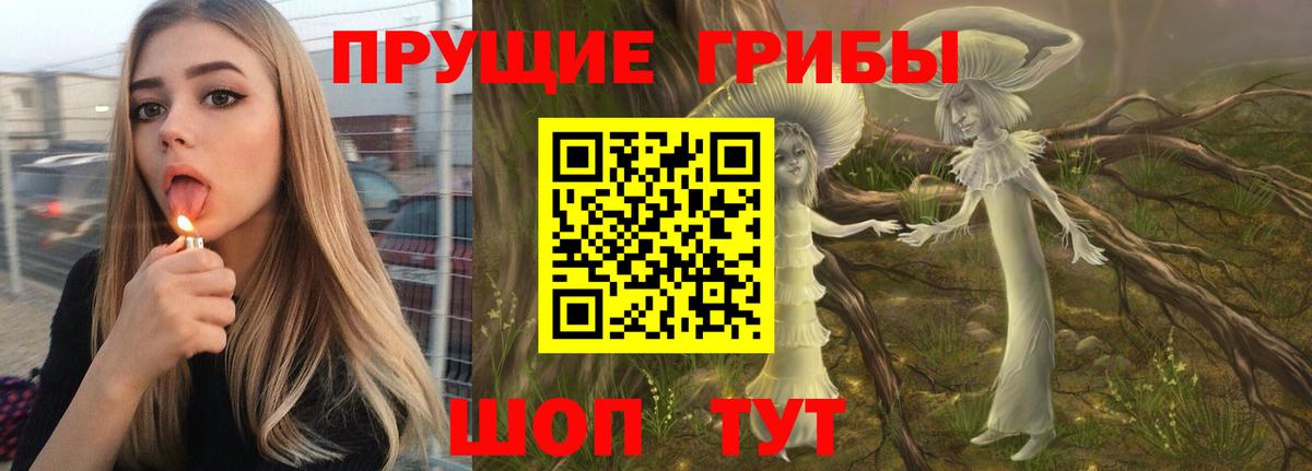 Галлюциногенные грибы Magic Shrooms  Вход с VPN  Нарткала  Псилоцибиновые грибы мицелий 
